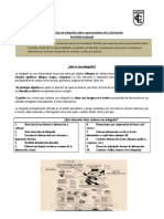 Infografía 4° Representantes de La Ilustración.