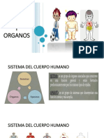 Sistemas y Organos