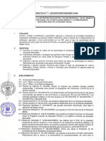 Directiva #14-Pulso Regional