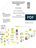 Tarea Histologia Glandulas