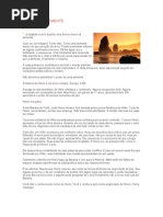 23174507 o Poder Da Semente