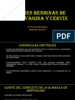 Lesiones Vulva, Vagina, Cervix