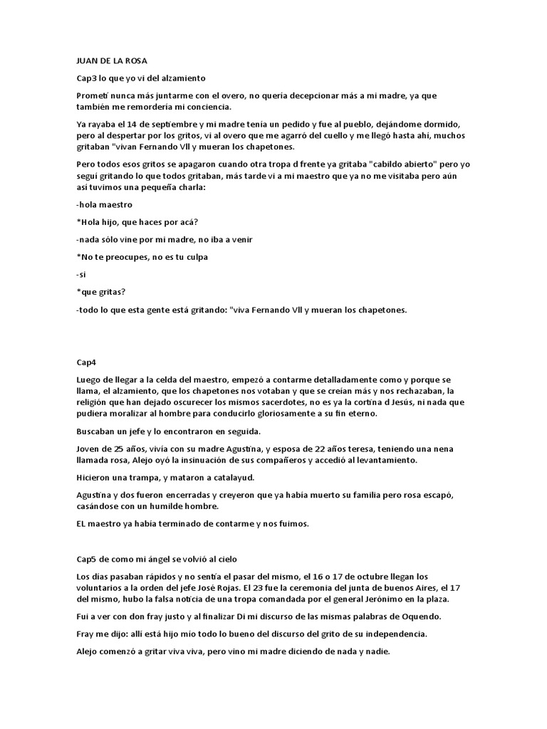 Juan de La Rosa Resumen PDF