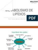 Metabolismo de Lipídios
