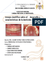 Ensayo-Dentición Decidua