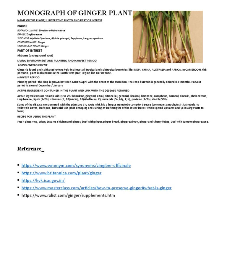 Monograph of Ginger PDF
