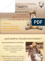 Exposicion Burro