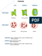 Ayuda Biología