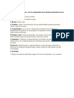 Conceptos Relacionado Con Los Componentes de La Membrana Plasmática