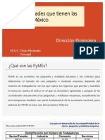 Las Dificultades Que Tienen Las PyMEs en México