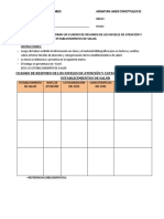 Matriz de Los Niveles y Categorización