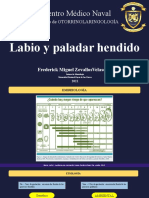 Labio y Paladar Hendido