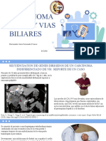 Carcinoma de VB y de Vias Biliares