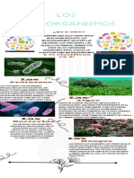 Los Microorganismos