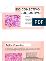 Diapositivas Exposición