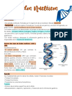 Acidos Nucleicos Resumen
