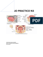 Trabajo Practico N3 Amante