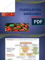 La coagulación sanguínea y su papel en la hemostasia y aterotrombosis