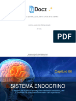 Sistema Endocrino 2016 Avanzado 18449 Downloable 168914