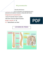 Huesos Del Tronco 1