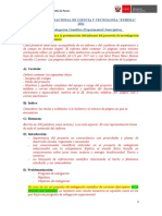 1-Formato de Reporte - Indagacion - Experimental - Descriptiva
