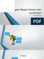 Bagian-Bagian Hewan Dan Tumbuhan Alpat 5shidiq