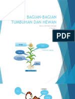 BAGIAN-BAGIAN TUMBUHAN DAN HEWAN Nizar 5 TABLIGH