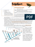 Transcripcion ANFIBIOS