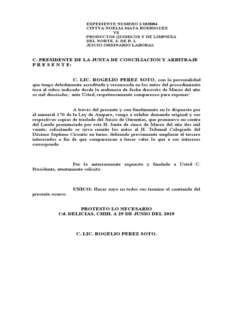 Amparo de Cinthya Noelia Mata | PDF | Debido al proceso | Caso de ley
