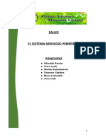 Sistema Nervioso Periferico 9 B