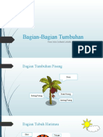 Bagian-Bagian Tumbuhan Zulfanda 5S