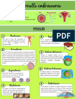 Desarrollo Embrionario