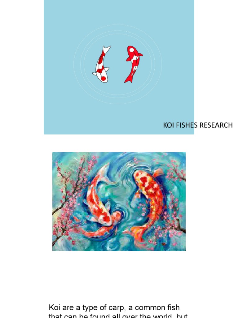 Koifishes Research | PDF