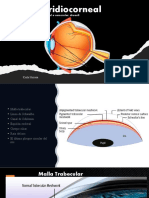 Ángulo Iridiocorneal