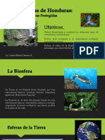 Ecosistemas en Honduras - Amenazas y Áreas Protegidas