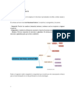 Trastornos Lobares - Valentina Diaz PDF