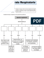 Ficha de El Aparato Respiratorio para Tercero de Primaria