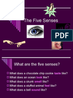 The Five Senses