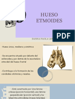 Hueso Etmoides