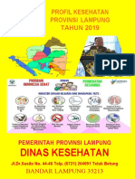 08 Profil-Kesehatan Lampung 2019