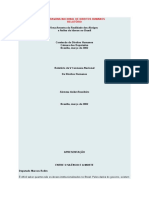 Relatorio-V Caravana Nacional de Direitos Humanos-Sistemaasilarbrasileiro-2002