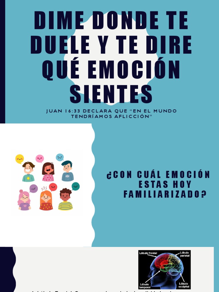 Dime Donde Te Duele Y Te Dire Qué Pdf Las Emociones Sistema Límbico