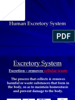 Excretory System-I