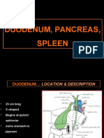 Duodenum, Pancreas, Spleen1