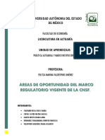 Información Áreas de Oportunidad CNSF