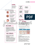 Eccemas y dermatitis: causas, tipos y tratamiento