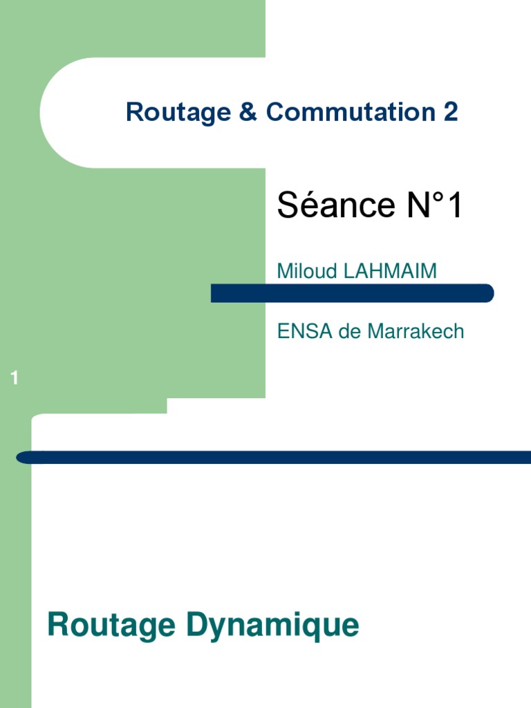 Routage Dynamique : Concepts et Protocoles | PDF | Routage | Adresse IP