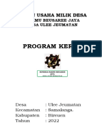 Program Kerja BUMDesa-2