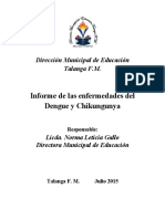Informe Del Dengue y Chicungunya
