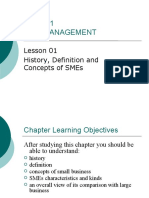 Mgt601 Sme Management: Lesson 01 History, Definition and Concepts of Smes